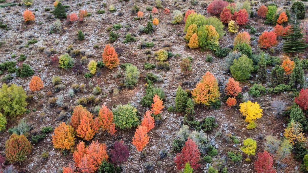 Konya’nın zirvelerinde sonbahar şöleni 5